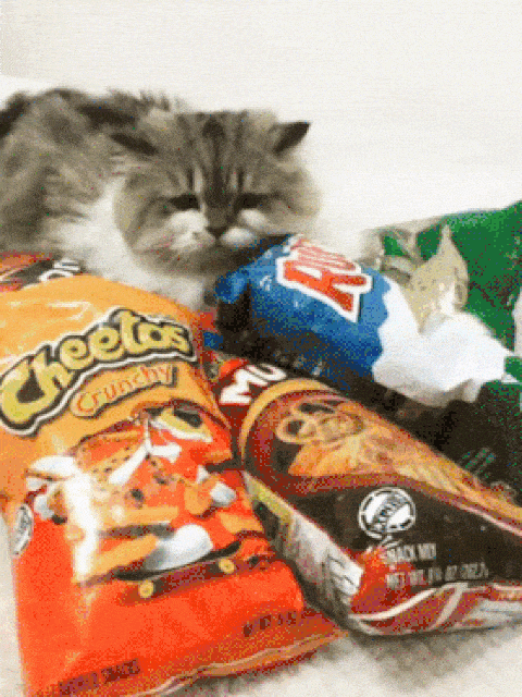 8 tips to stop employees going rogue on social media by a rogue employee