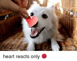 8 tips to stop employees going rogue on social media by a rogue employee