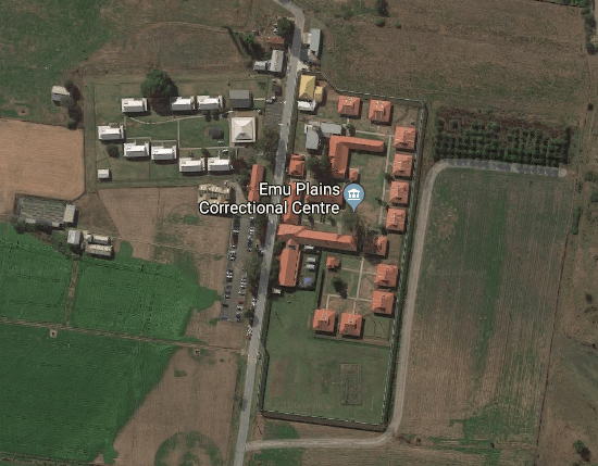 Emus Book Raid - excerpt